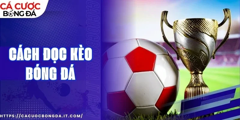 cách đọc kèo bóng đá