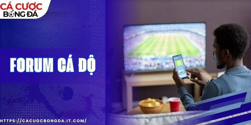 forum cá độ