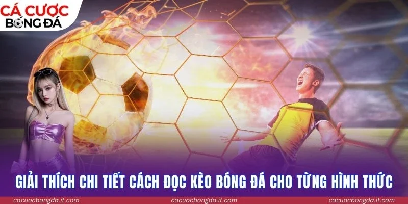 Giải thích chi tiết cách đọc kèo bóng đá cho từng hình thức