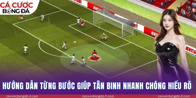 Hướng dẫn từng bước giúp tân binh nhanh chóng hiểu rõ 