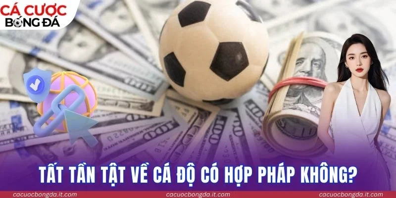 Tất tần tật về cá độ có hợp pháp không?