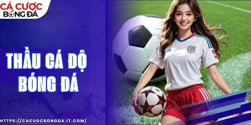 Thầu cá độ bóng đá với lợi nhuận khủng