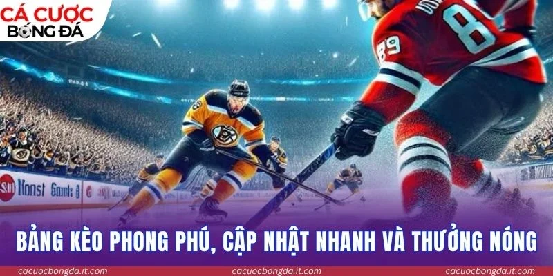 Bảng kèo phong phú, cập nhật nhanh và thưởng nóng