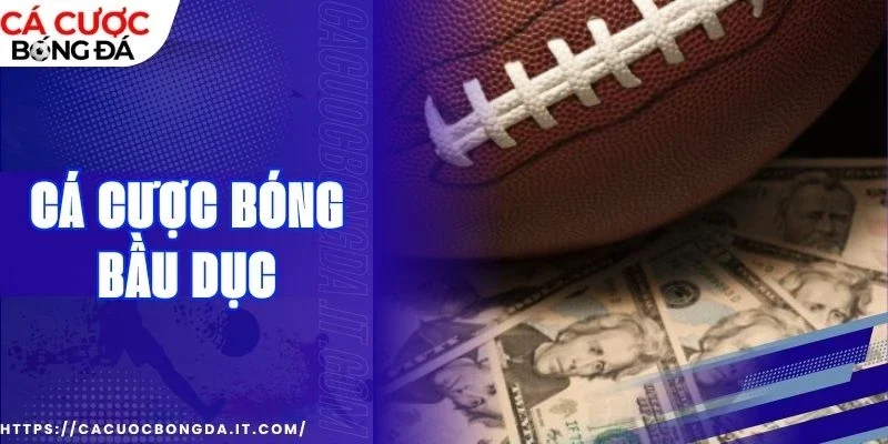 Tham gia săn thưởng cùng kèo Handicap đẳng cấp hàng đầu