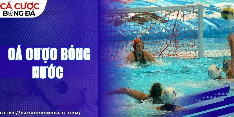 Lựa chọn cửa cược bóng online hiệu quả