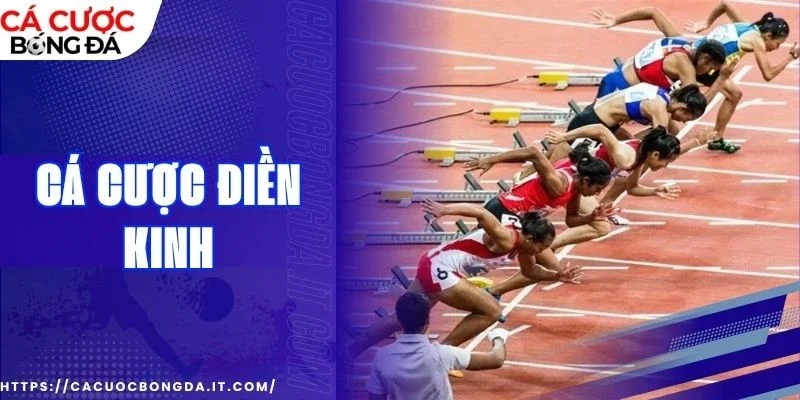 Mẹo phân tích cá cược điền kinh hiệu quả