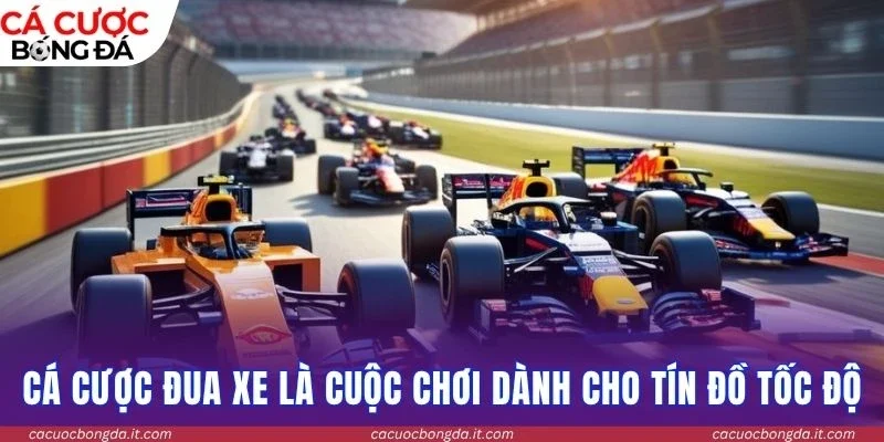 Cá cược đua xe là cuộc chơi dành cho tín đồ tốc độ