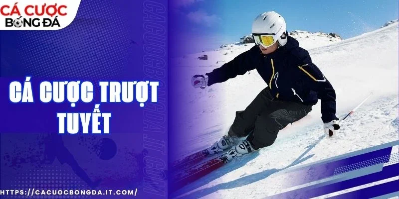 Kiến thức giúp cá cược trượt tuyết hiệu quả