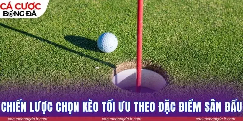 Chiến lược chọn kèo tối ưu theo đặc điểm sân đấu