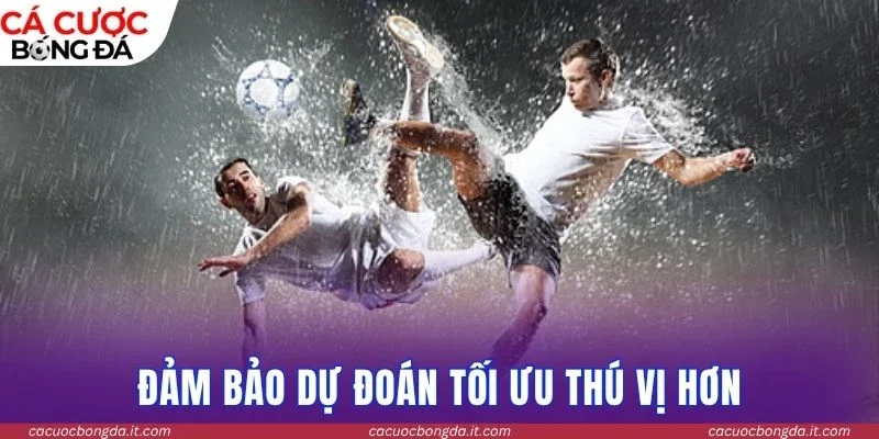 Đảm bảo dự đoán tối ưu với trải nghiệm thú vị hơn