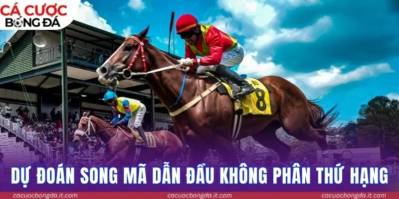 Dự đoán song mã dẫn đầu không phân thứ hạng