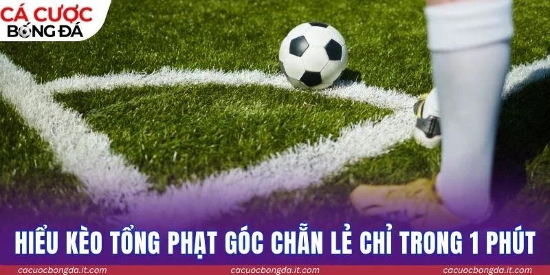 Hiểu kèo tổng phạt góc chẵn lẻ chỉ trong 1 phút