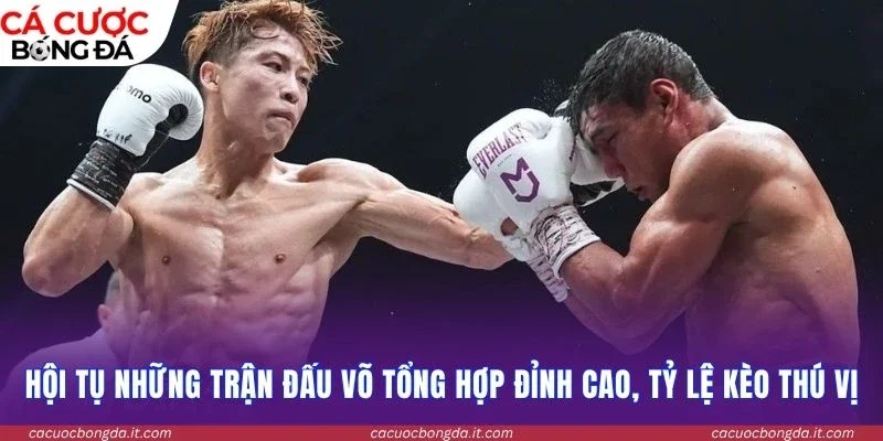 Hội tụ những trận đấu võ tổng hợp đỉnh cao, tỷ lệ kèo thú vị