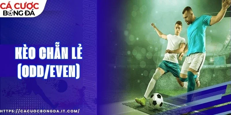 Mẹo cá cược kèo chẵn lẻ (Odd/Even) online