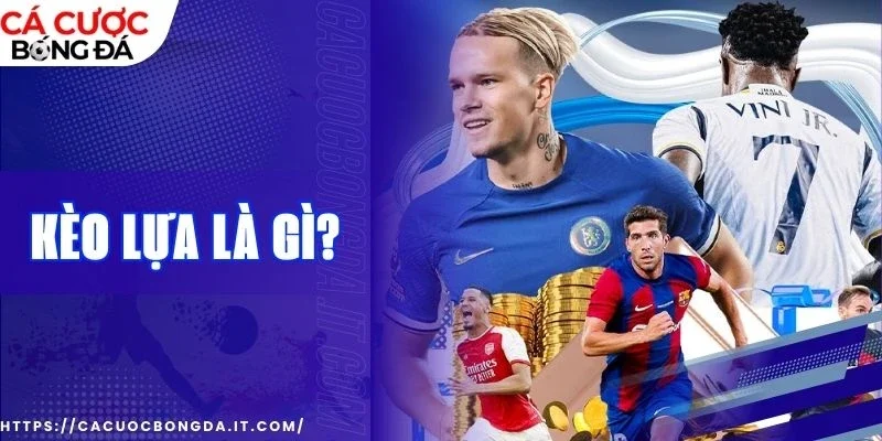 Dự đoán kết quả dựa trên diễn biến tỷ lệ