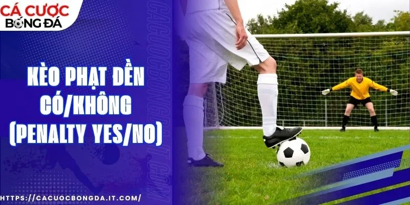 Bỏ túi chiến lược soi kèo hiệu quả từ cao thủ 