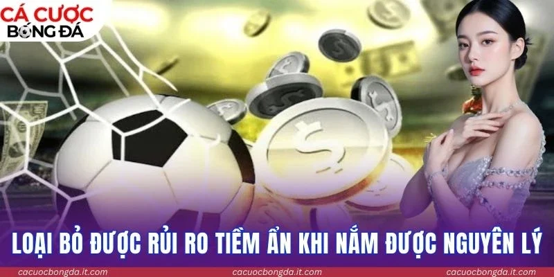 Loại bỏ được rủi ro tiềm ẩn khi nắm được nguyên lý