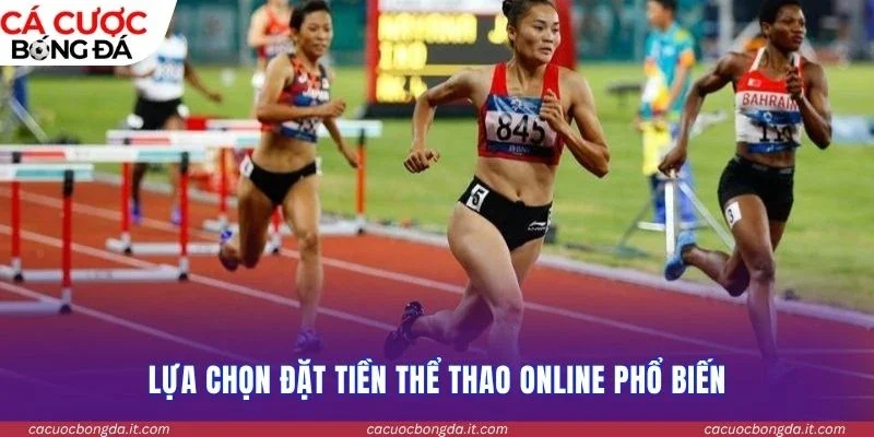 Lựa chọn đặt tiền thể thao online phổ biến