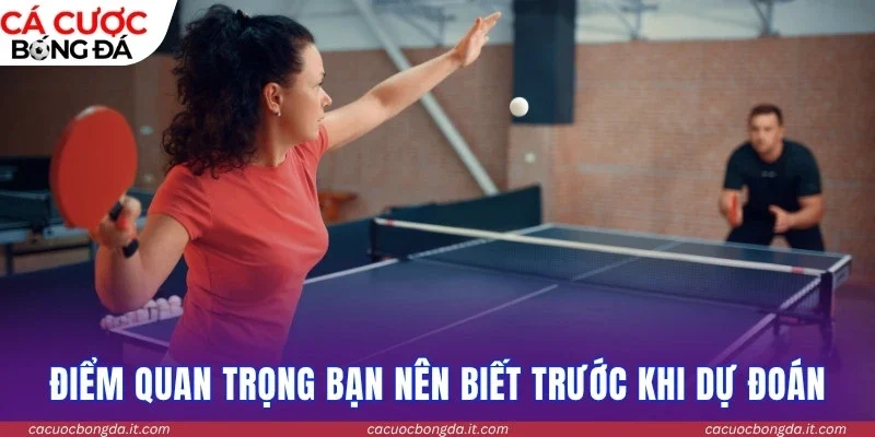 Những điểm quan trọng bạn nên biết trước khi dự đoán