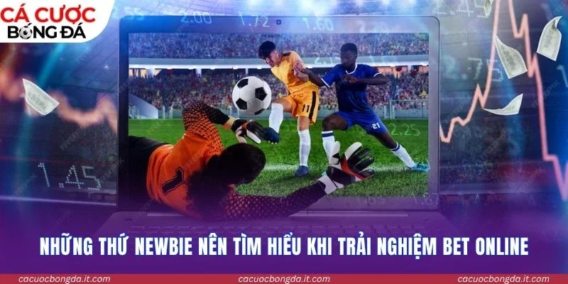 Những thứ newbie nên tìm hiểu khi trải nghiệm bet online