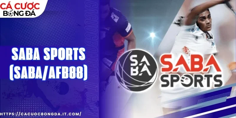 Hệ thống kèo hot tại sân chơi SABA