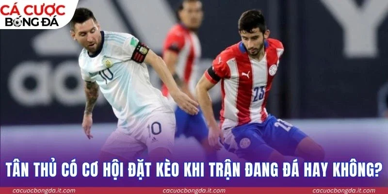 Tân thủ có cơ hội đặt kèo khi trận đang đá hay không?