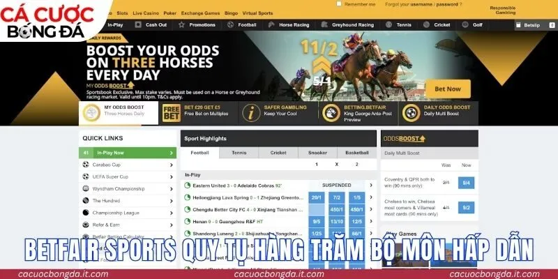 Betfair Sports quy tụ hàng trăm bộ môn hấp dẫn