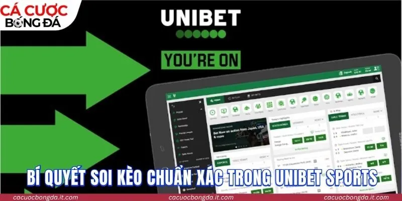 Bí quyết soi kèo chuẩn xác trong hệ thống Unibet Sports