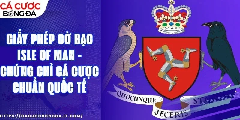 So sánh tiêu chuẩn quốc tế cho các trò chơi cá độ trực tuyến