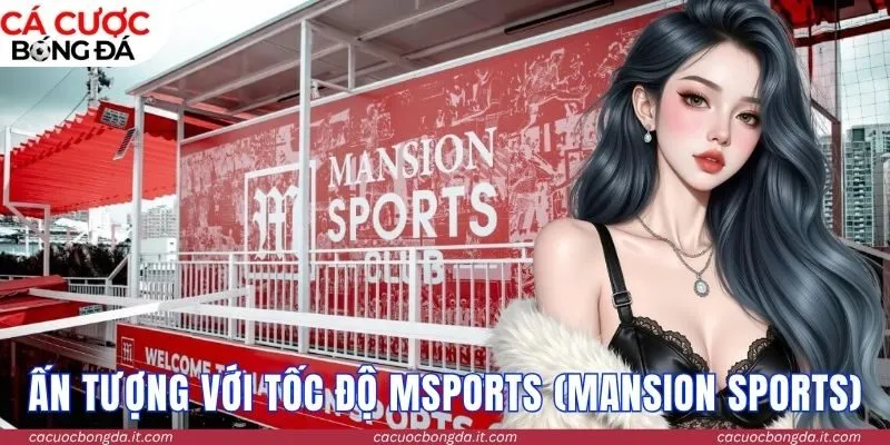Ấn tượng với tốc độ tại MSports (MANSION Sports)